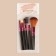 A set of makeup brushes, 5 objects, black/raspberry color