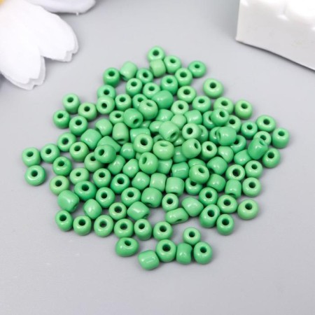 Round beads 6/0 "Green" 20 g-1