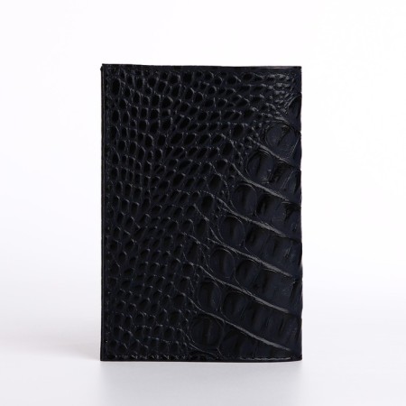 Cover for passport, dark blue color-1