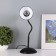Table lamp "School" 1x40W E27 Black 22x14x32 cm Risalux