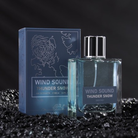 Toilet water male "Sound of the Wind", "Snow Thunderstorm", 100 ml
