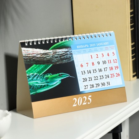 Календарь настольный, домик "Символ года - 2" 2025, 14 х 20 см-1