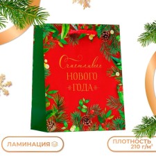 Gift Package 