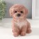 Figure "Puel Poodle" 14.5 x 10 x 14 cm.