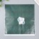 Scrapbooking paper bilateral "monsters and leaves" density 180 g 30.5x32 cm
