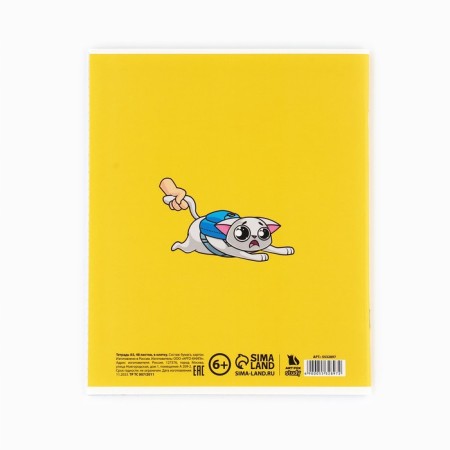 A set of notebooks of 48 sheets, 10 items from reference. mat. In the shell "September 1: characters"-3