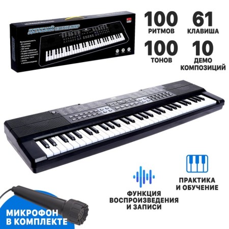 Synthesizer "Children's", 61 key, with a microphone