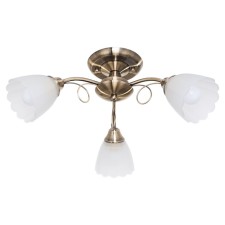 The chandelier 