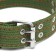Four-layer collar with a swivel, 65 x 4 cm, Osh 54-60 cm, polyester, green