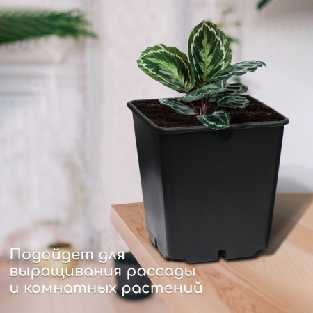 Pot for seedlings, 11 l, d = 25 cm, h = 26 cm, black-2