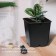 Pot for seedlings, 11 l, d = 25 cm, h = 26 cm, black