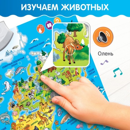 Learning poster "Animals of the world", sound effects-3
