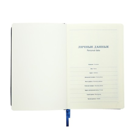 Deliciper of Leduced A5, 136 sheets in a ruler, leatherette "Nebraska", silver cut, blue-9