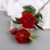 Artificial flowers "Beverly luxury" 60 cm, red