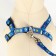 The set of stitched "flowers", leash 120 x 1 cm, OG 23-35 cm, dark blue