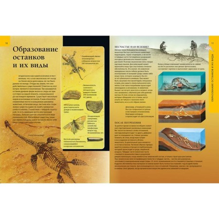 The prehistoric world of dinosaurs. Children's Encyclopedia-5