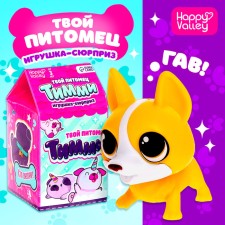 Surprise toy 