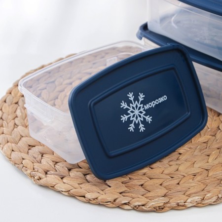 A set of rectangular containers for freezing Morozko products, 1 l, 3 pcs, color mix-2