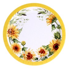 A set of paper plates 
