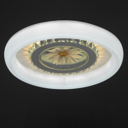 Luer with DPD "Astra" LED 120W 3000-6000k white 50x50x9 cm-4