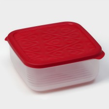 The container is plastic with the lid Flexo, 2.7 l, the color is red