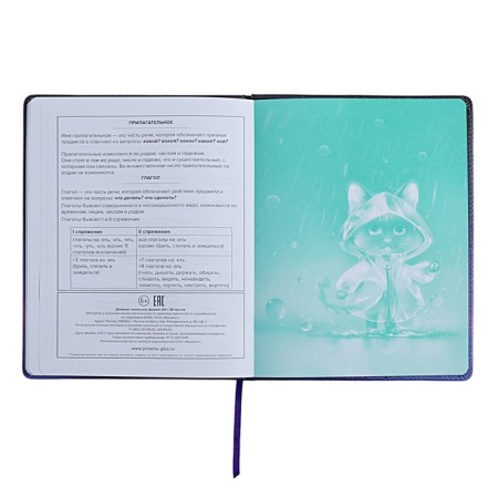Universal Diary Grade 1-11, 48 sheets "Cat in the raincoat", solid cover of artificial leather, applique, liesse, universal cheat sheet, block 80 g/m2-12