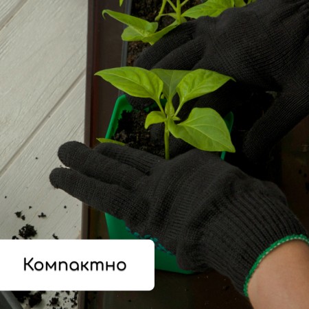 Set for seedlings: glasses of 600 ml (8 pcs), pan 36 × 18 cm, color mix, Greengo-7