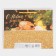 Laminated horizontal "Cozy New Year", MS 23 x 18 x 8 cm, New Year