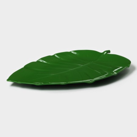 Serve dish "Liszt", 37.5 × 23.5 × 2 cm, green color-2
