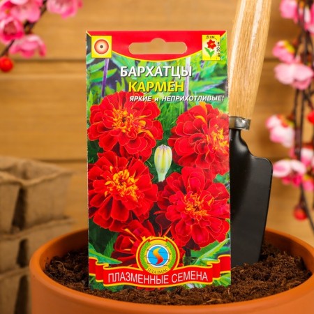 Carmen Marmen seeds, red with yellow, 45 pcs-4
