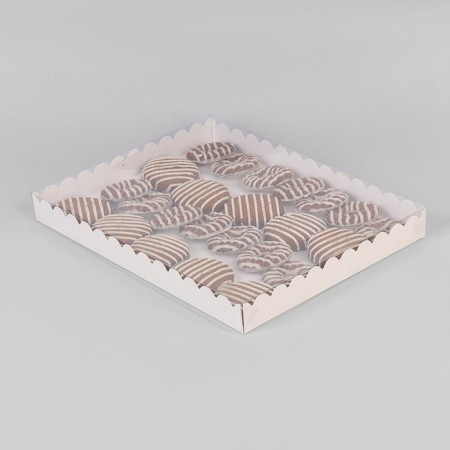 Box for cookies with PVC lid 23.5 x 30 x 3 cm-1