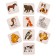 Pictures-Polovinki "Animals"