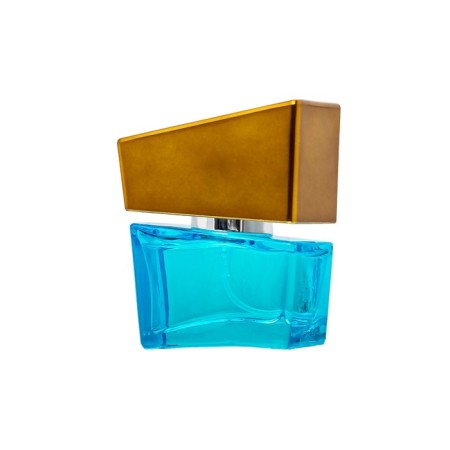 Spirits with Hot Shiatsu Lightblue Feromons, Male, 15 ml-2