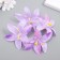 Budon on the leg for decoration "Lily Garden" purple 6.5x6.5 cm