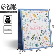 Gift laminated package, packaging, Best Wishes, Ml 21 x 25 x 8 cm
