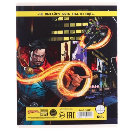 Notebook in a cage 12 sheets, 5 types of mix, cover coated cardboard, spider-man-8