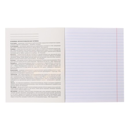 A set of subject notebooks of 48 sheets "Magic", 12 objects, cover coated cardboard, cold foil, twin varnish, offset block-4