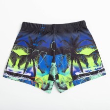 Bathing swimming trunks for the boy Minaku 