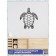 Wall panel made of wood, prefabricated model, Ewa Design, sea turtle