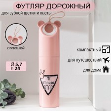 Case for toothbrush and paste 