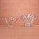 The form of plastic disposable for the buffet, transparent, 70 ml, 15 pcs/units.
