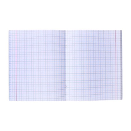 Notebook of 48 sheets in the Calligrata "Anime" cage, cardboard cover, glossy lamination, block offset mix-5