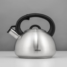 A kettle with a whistle Nadoba Virga, 3.8 l