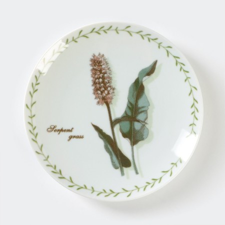 Porcelain plate "Botanika", D = 17.5 cm
