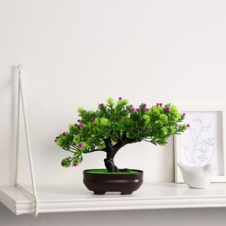Bonsai in the pot "Werelp tree" 12x17 cm, mix-3