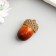 Decor for creativity "Acorus" set 10 pcs 2.7x2 cm