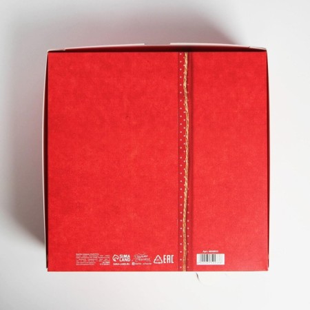Folding box "Mail", 25 x 25 x 10 cm, new year-3