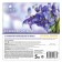 Constitutional balm for Crystal Rinser underwear, with the aroma of Royal Iris, 5l