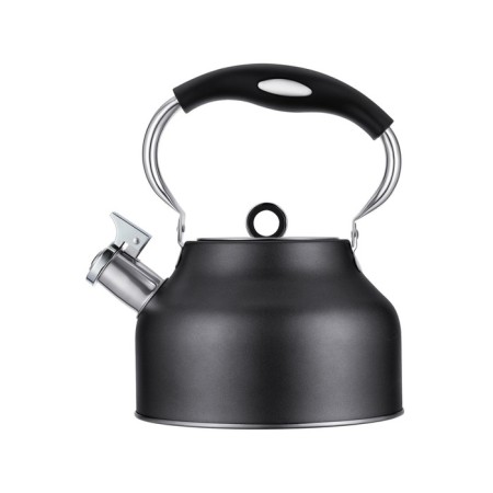 Teapot Regent Inox Tea, with a whistle, 2.5 l + a gift of a strain for brewing tea-1