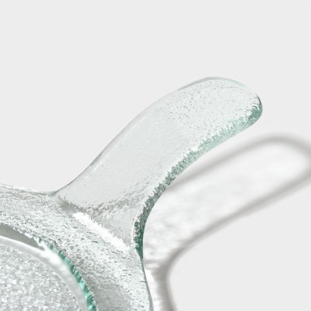 Glass Serving Magistro "Avis", 24.5 × 16.5 × 4 cm-4